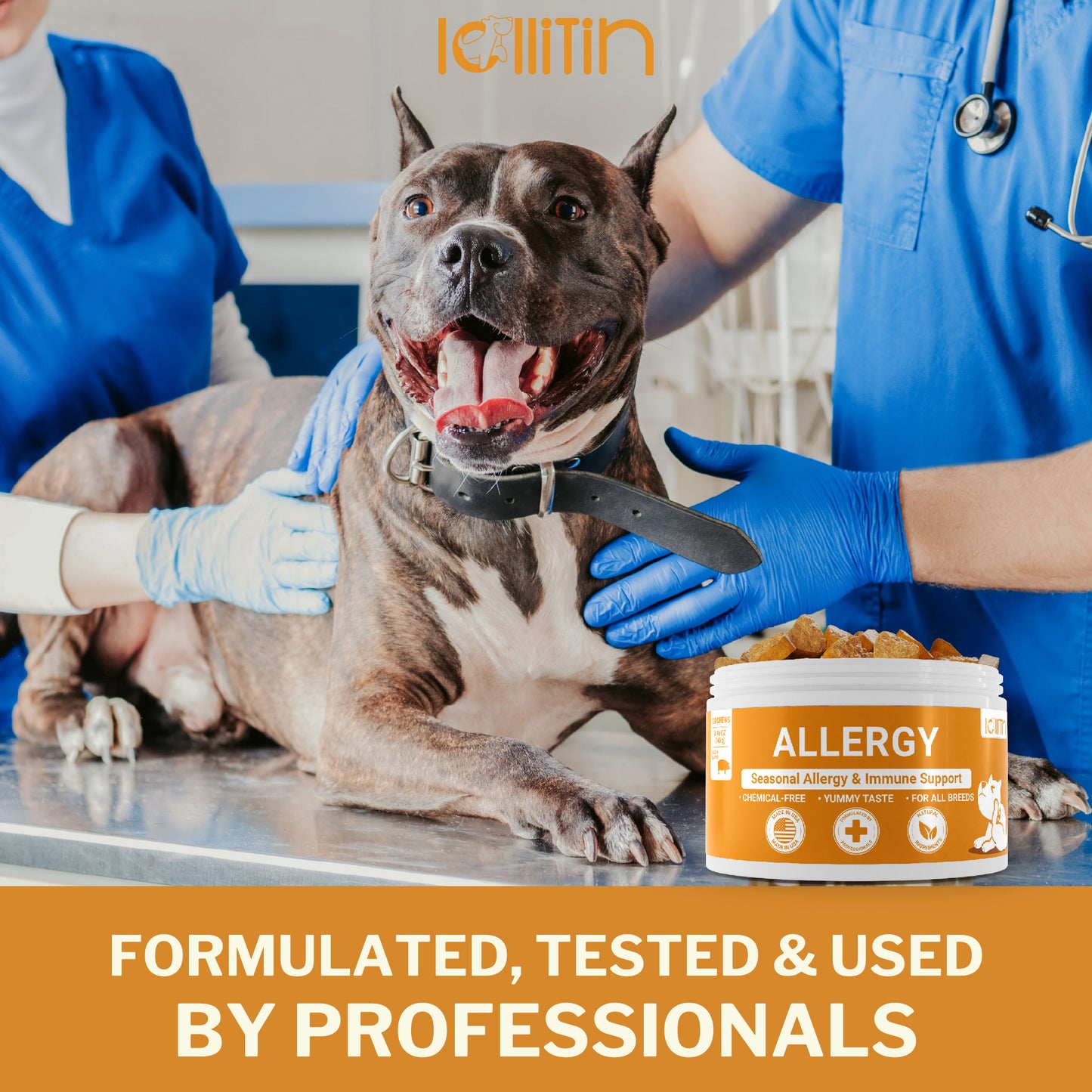 LOLLITIN - ALLERGY - 120 CHEWS - BACON