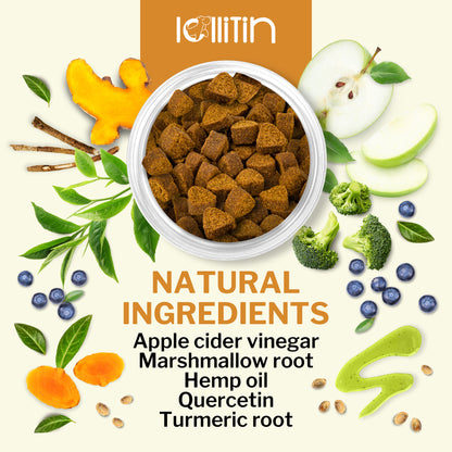 LOLLITIN - ALLERGY - 120 CHEWS - BACON